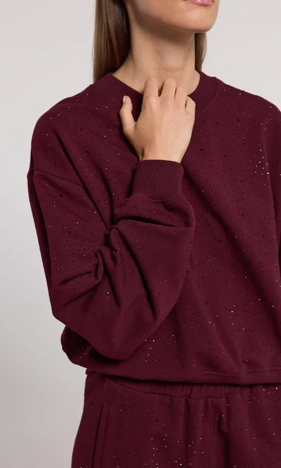 Generation Love Clothing Sweaters and Sweatshirts Colby Compact Crystal Sweatshirt Black Cherry 8211 Women