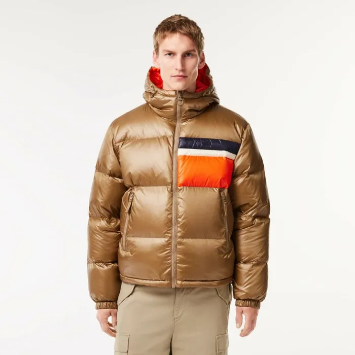 Jackets and Coats Men Lacoste Men039s Reversible Colorblock Accent Down Jacket Brown White Orange Qit Jackets and Coats Men Lacoste Men039s Reversible Colorblock Accent Down Jacket Brown White Orange Qit