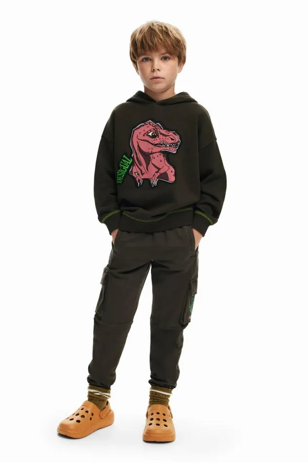 Kids Jumpers And Sweatshirts Desigual Dinosaur Sweatshirt