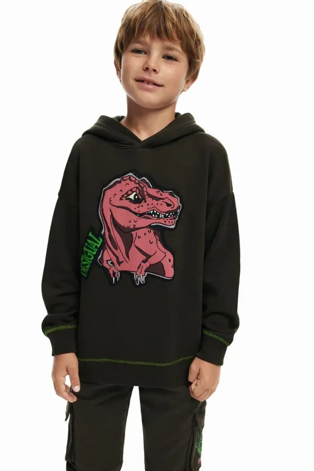 Kids Jumpers And Sweatshirts Desigual Dinosaur Sweatshirt