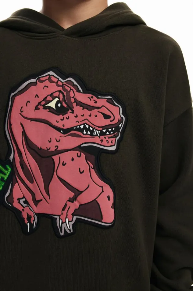 Kids Jumpers And Sweatshirts Desigual Dinosaur Sweatshirt