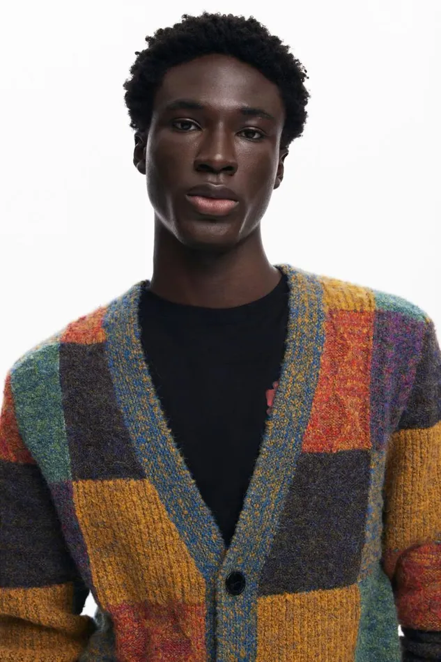 Men Jumpers And Sweatshirts Desigual Checked Cardigan