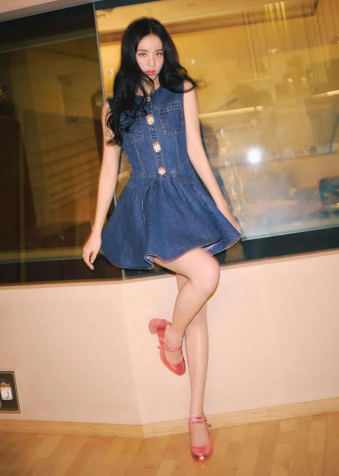 Self Portrait Denim Women Denim Skater Mini Dress