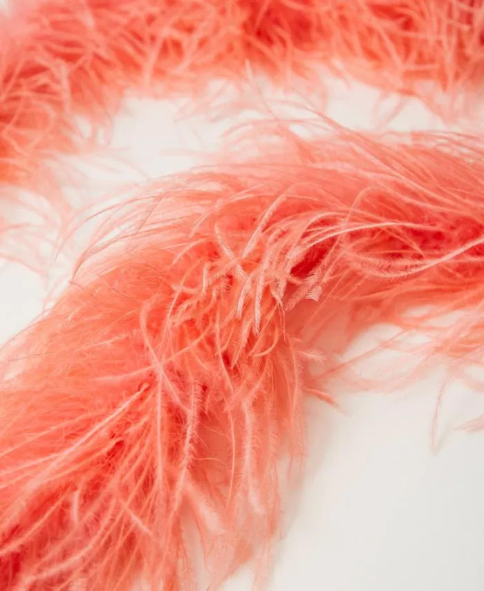 Twinset Scarves MYFO Stole With Feathers Fluorescent Coral 8211 Accessories
