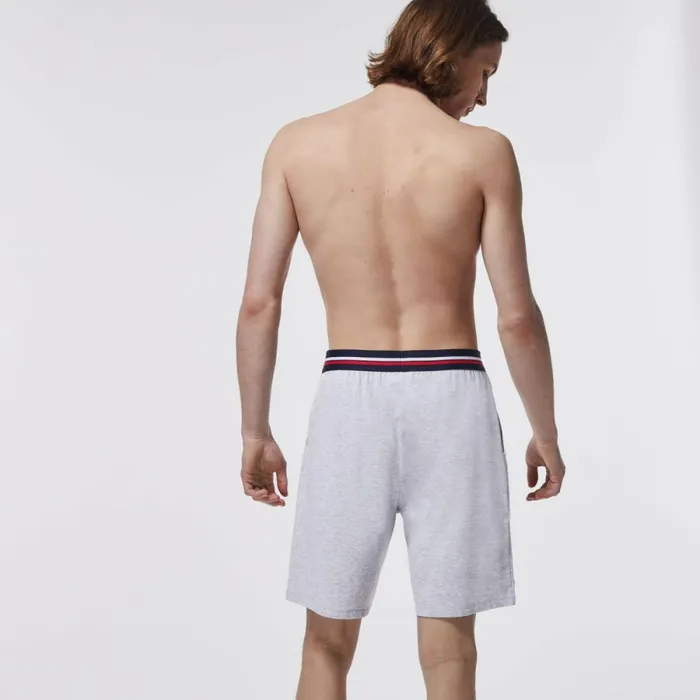 Underwear and Socks Men Lacoste Men039s StripedWaist Long Boxer Briefs Grey Chine Cca