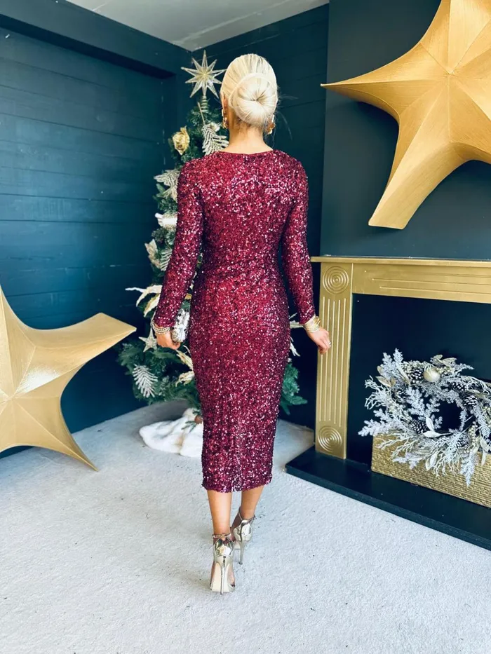 Women Day Dress Canella Lane Celia Sequin Midi Dress Wine