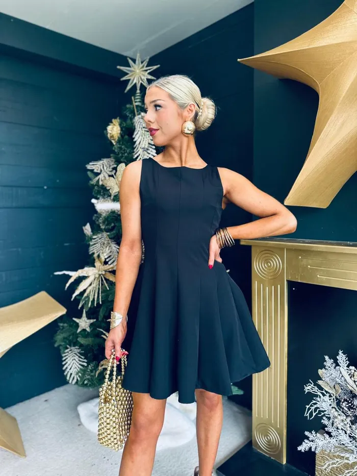 Women Day Dress Canella Lane Jules Detailed Mini Dress Black