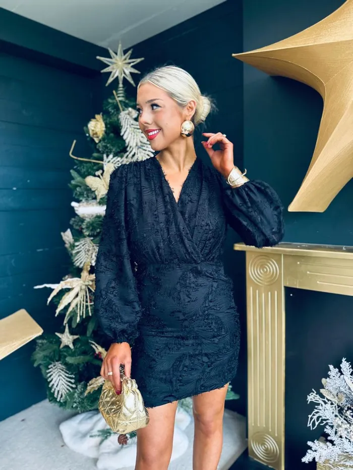 Women Day Dress Canella Lane Matilda Detailed Mini Dress Black