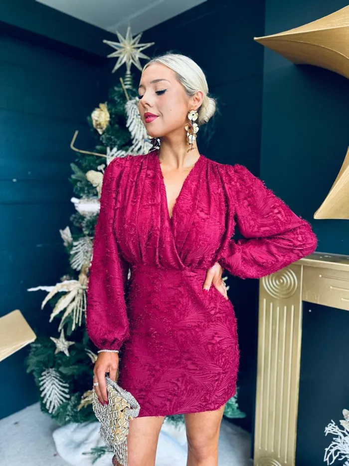 Women Day Dress Canella Lane Matilda Detailed Mini Dress Wine