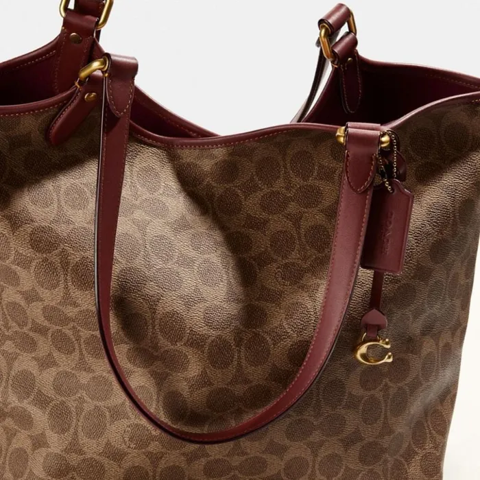 Women Day Tote In Signature Canvas Brasstanrust Coach Totes and Carryalls