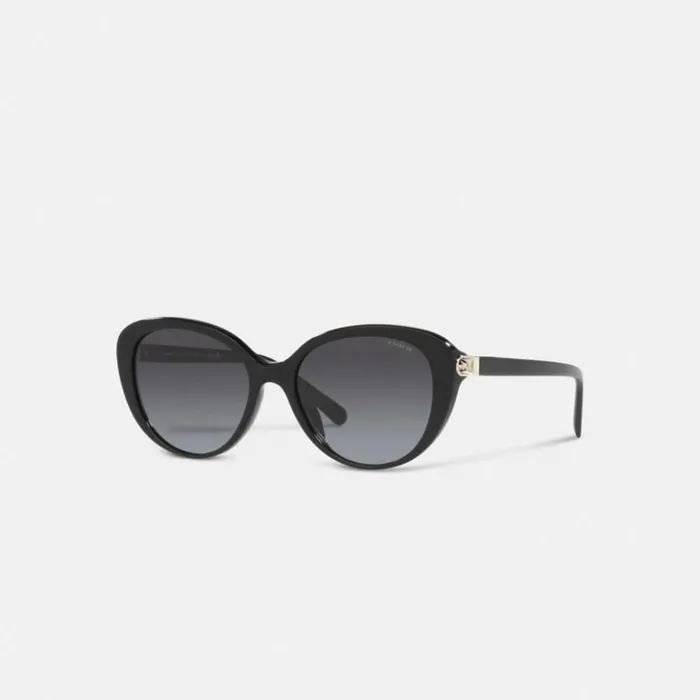 Women Horse And Carriage Cat Eye Sunglasses Black Coach Eyewear