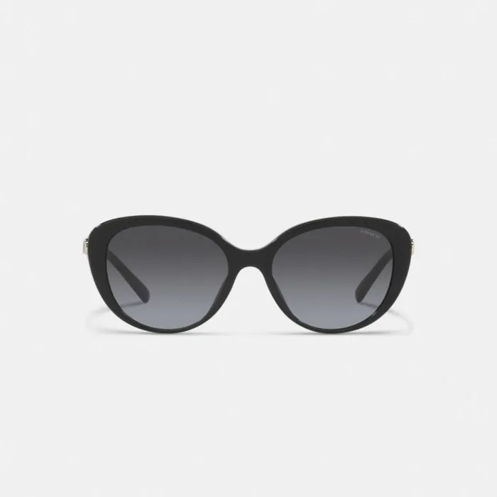 Women Horse And Carriage Cat Eye Sunglasses Black Coach Eyewear