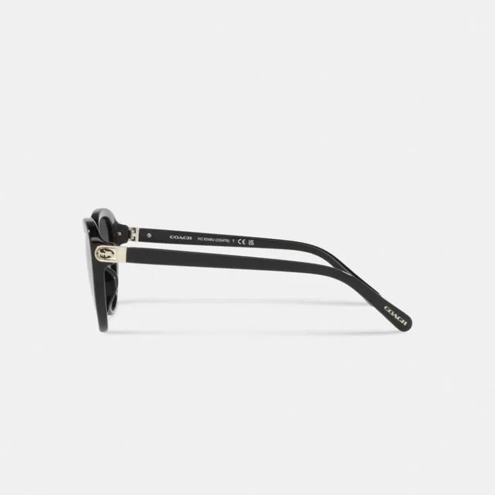 Women Horse And Carriage Cat Eye Sunglasses Black Coach Eyewear