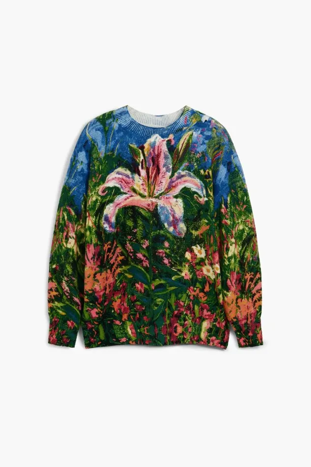 Women Jumpers Desigual Thick Orchid Sweater