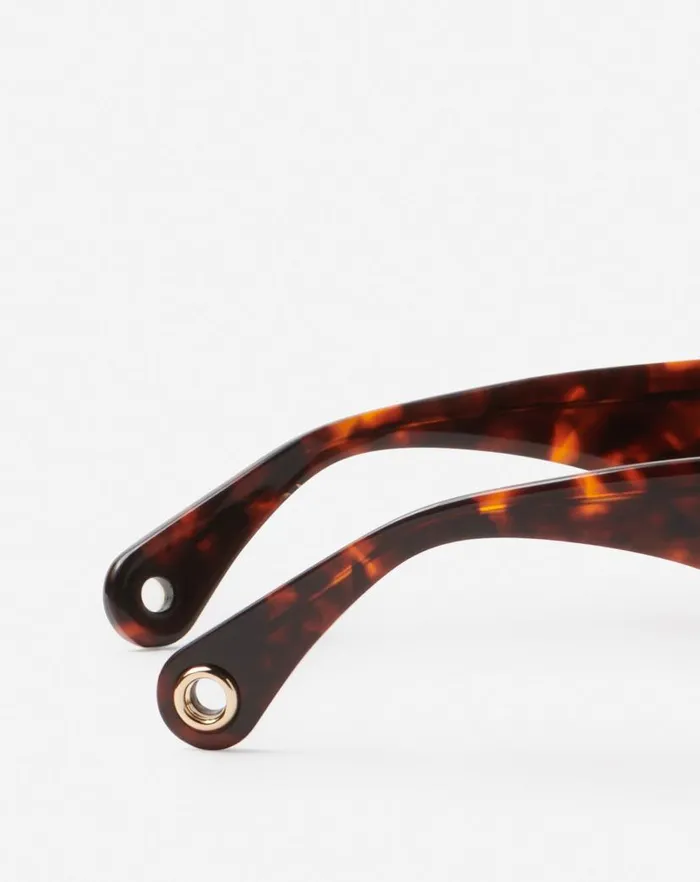 Women Lanvin Sunglasses Signature Sunglasses Havana