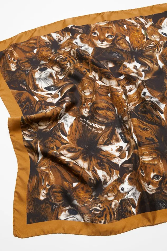 Women Print Silk Scarf Brown Acne Studios Scarves