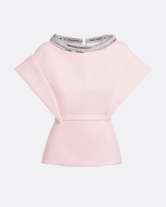 Women Tops Safiyaa Silvia Barely Pink Embroidered Top Barely Pink