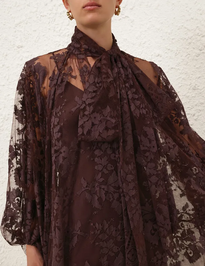 Women Zimmermann Clothing Illustration Lace Gown Mahogany