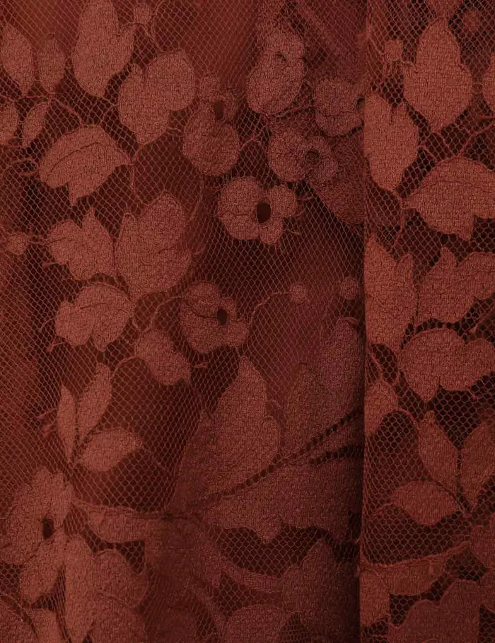 Women Zimmermann Clothing Illustration Lace Mini Dress Chestnut